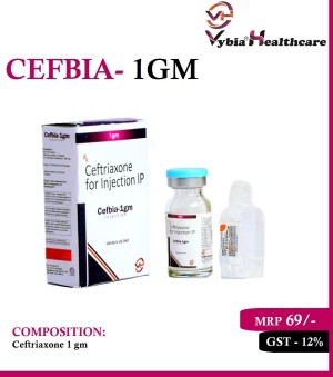 CEFBIA-1GM