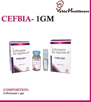 CEFBIA-1GM