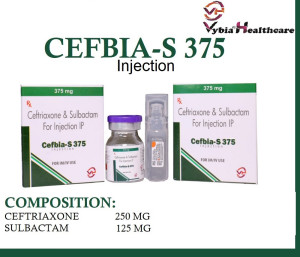CEFBIA-S 375